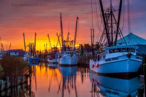 10348936_1023313124376453_6658570584082525091_o