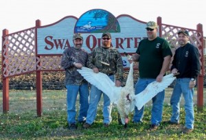 75336-swan hunt